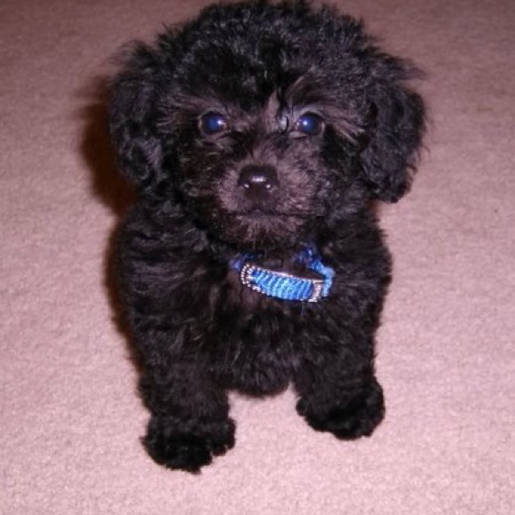 📺TT TV Sharing📦Tag List Below! - Picture 10 of 15